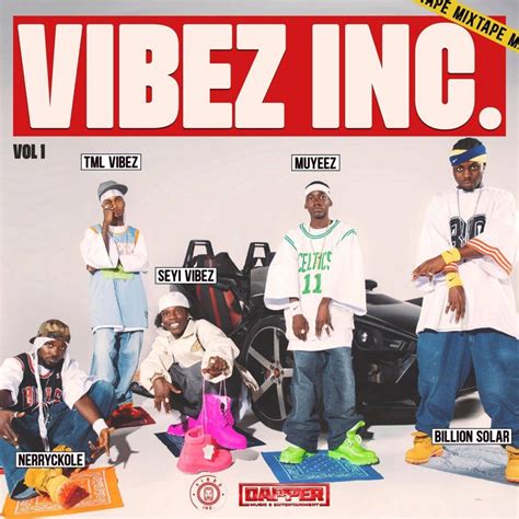 vibez significato|what is vibez